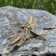 Brass Collectables - Dragonfly