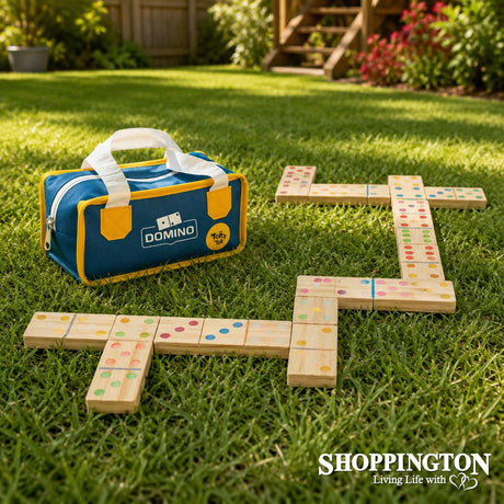 Carry Bag Domino's