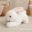 Chastity Bunny
