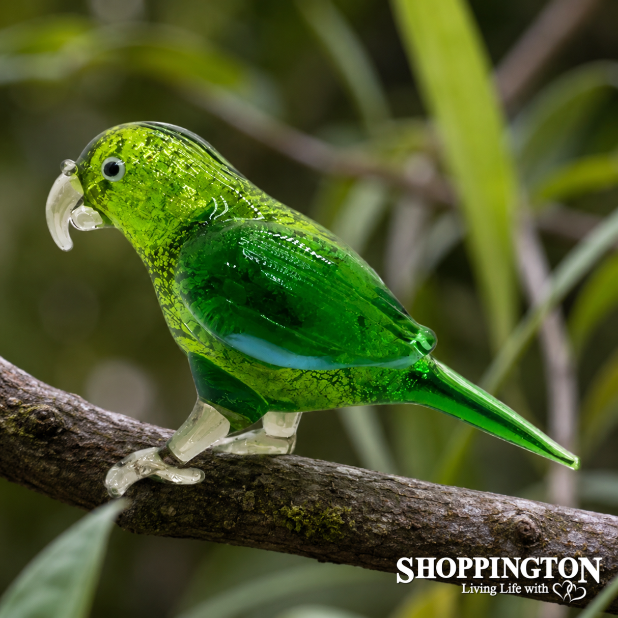 NZ Native Birds - Glass Kea