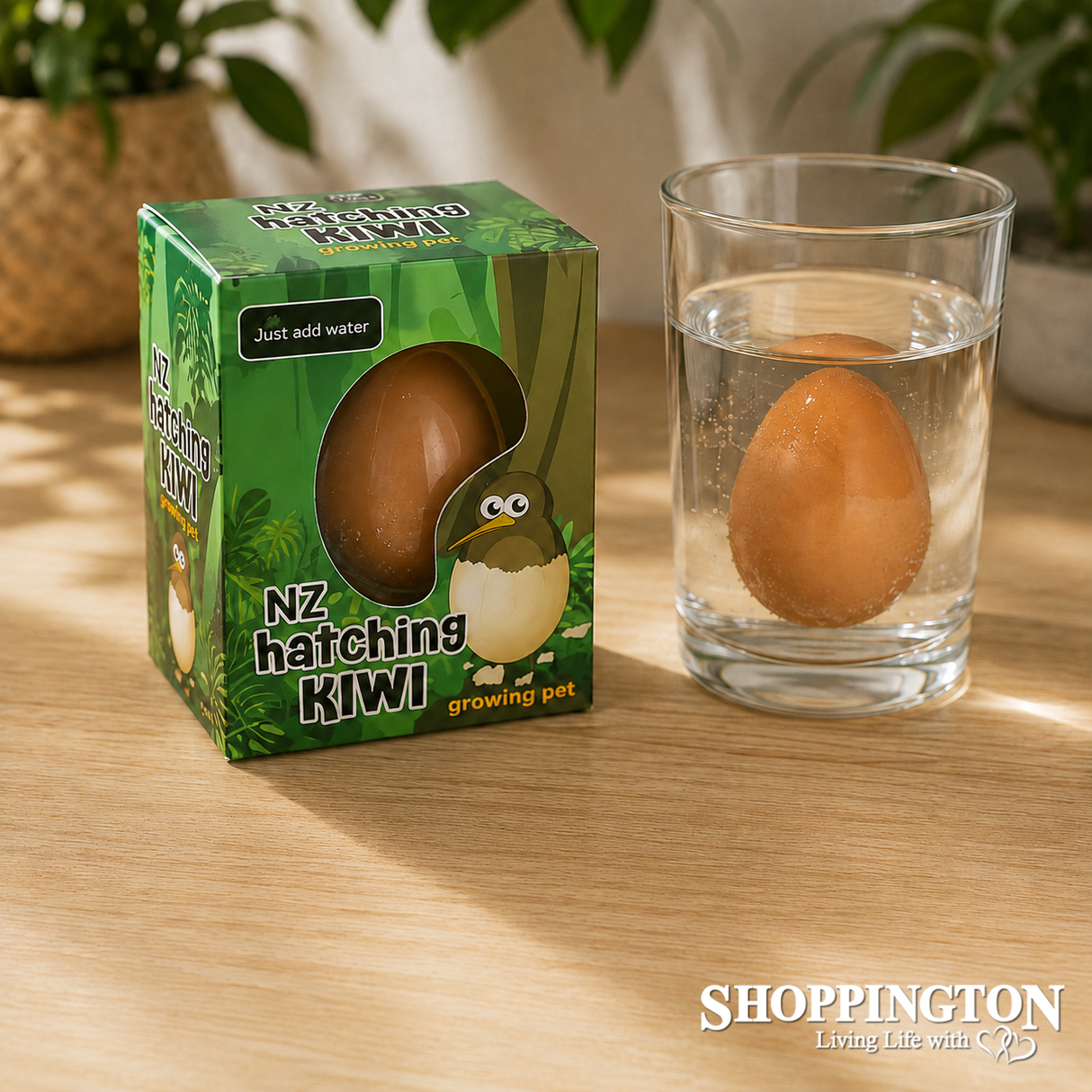 NZ Hatching Kiwi