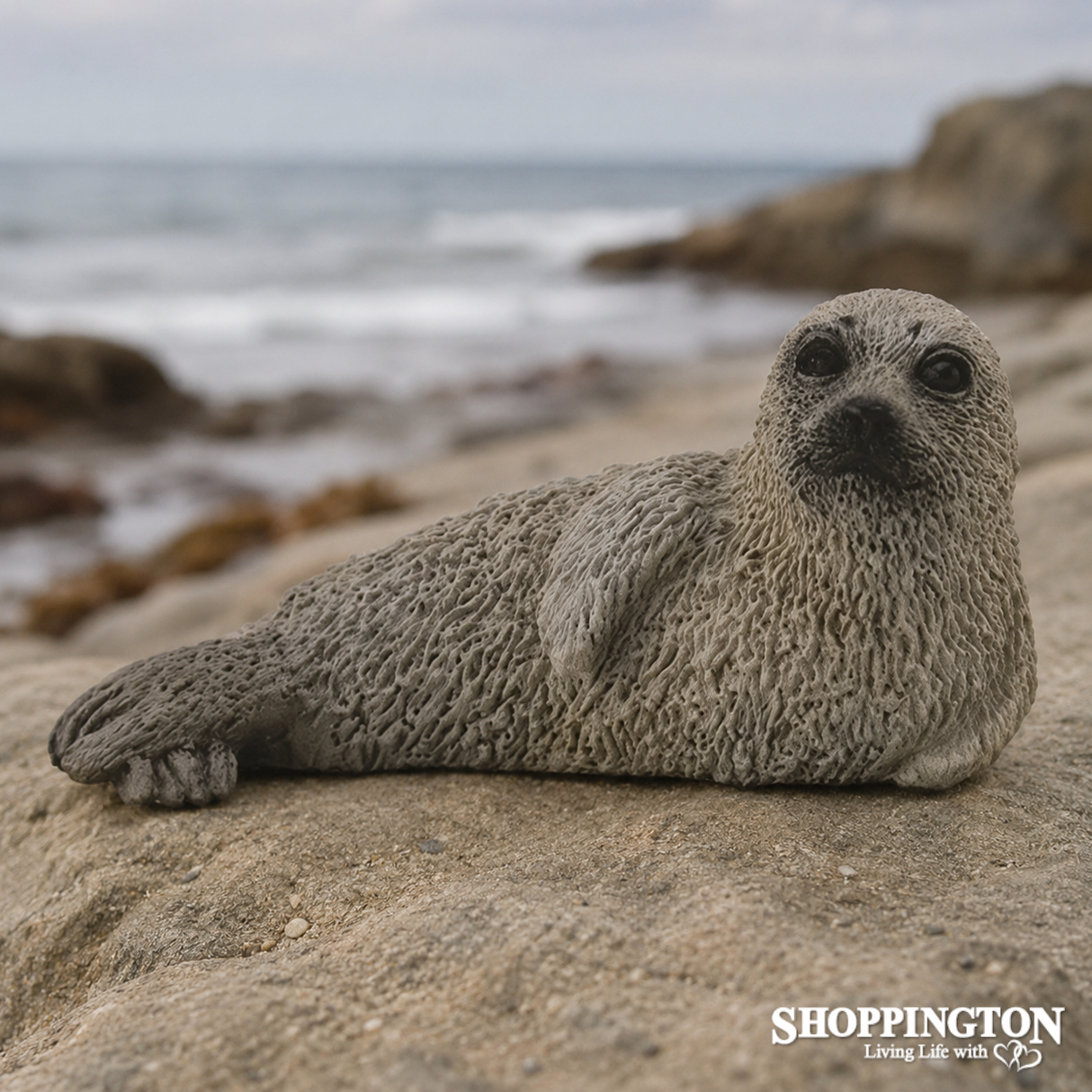 Collect A - Seal Pup