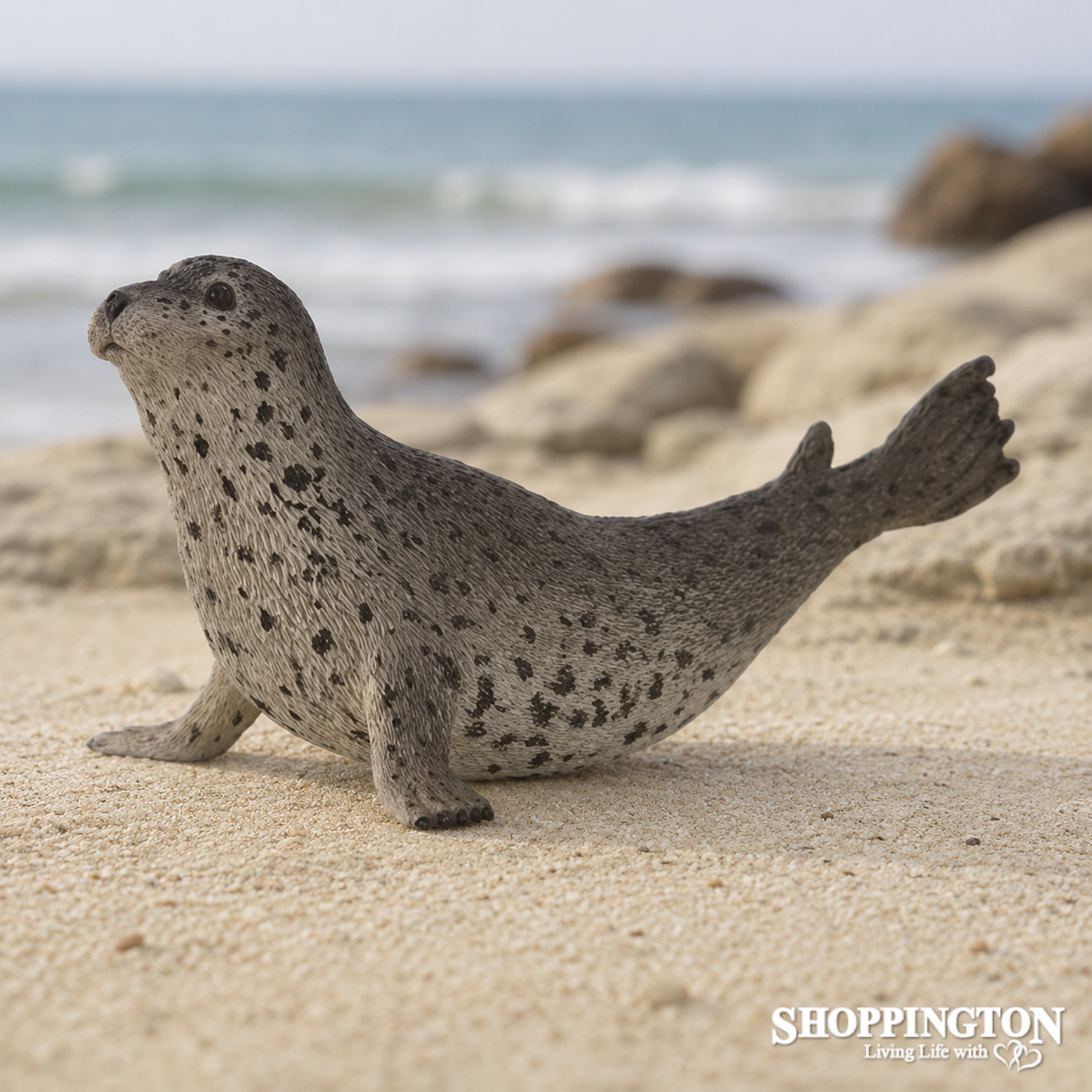 Collect A - Spotted Seal