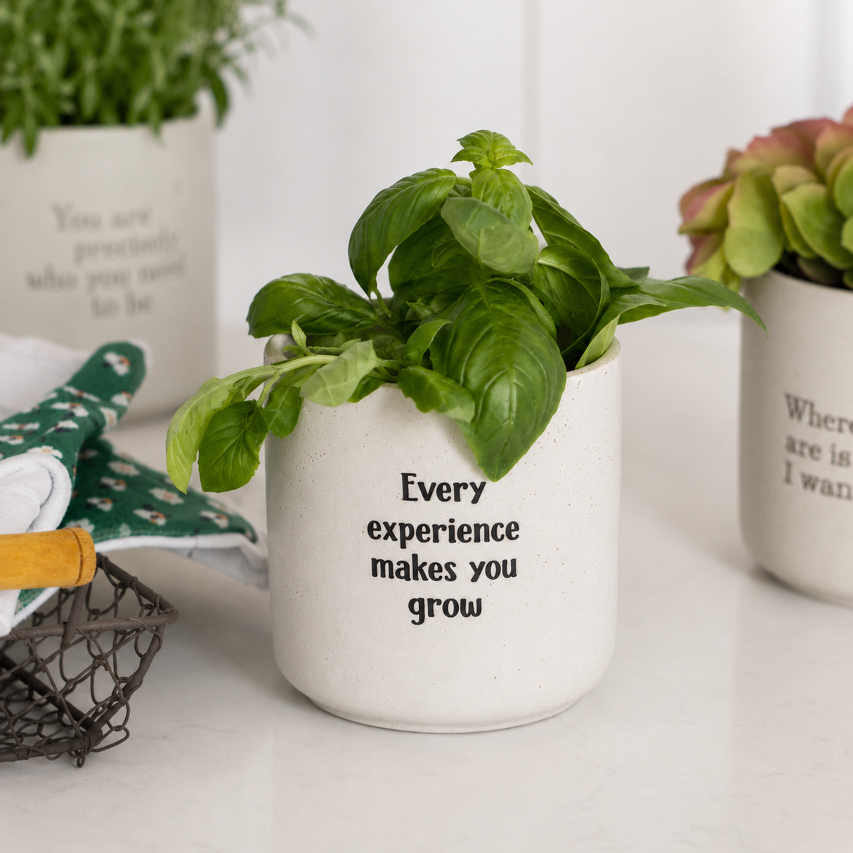Positive Pots - Grow
