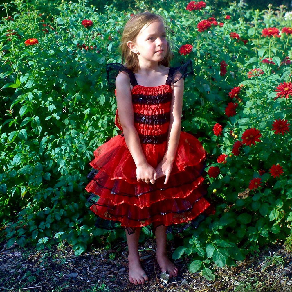 Fairy Dress-up / Ladybird Dress