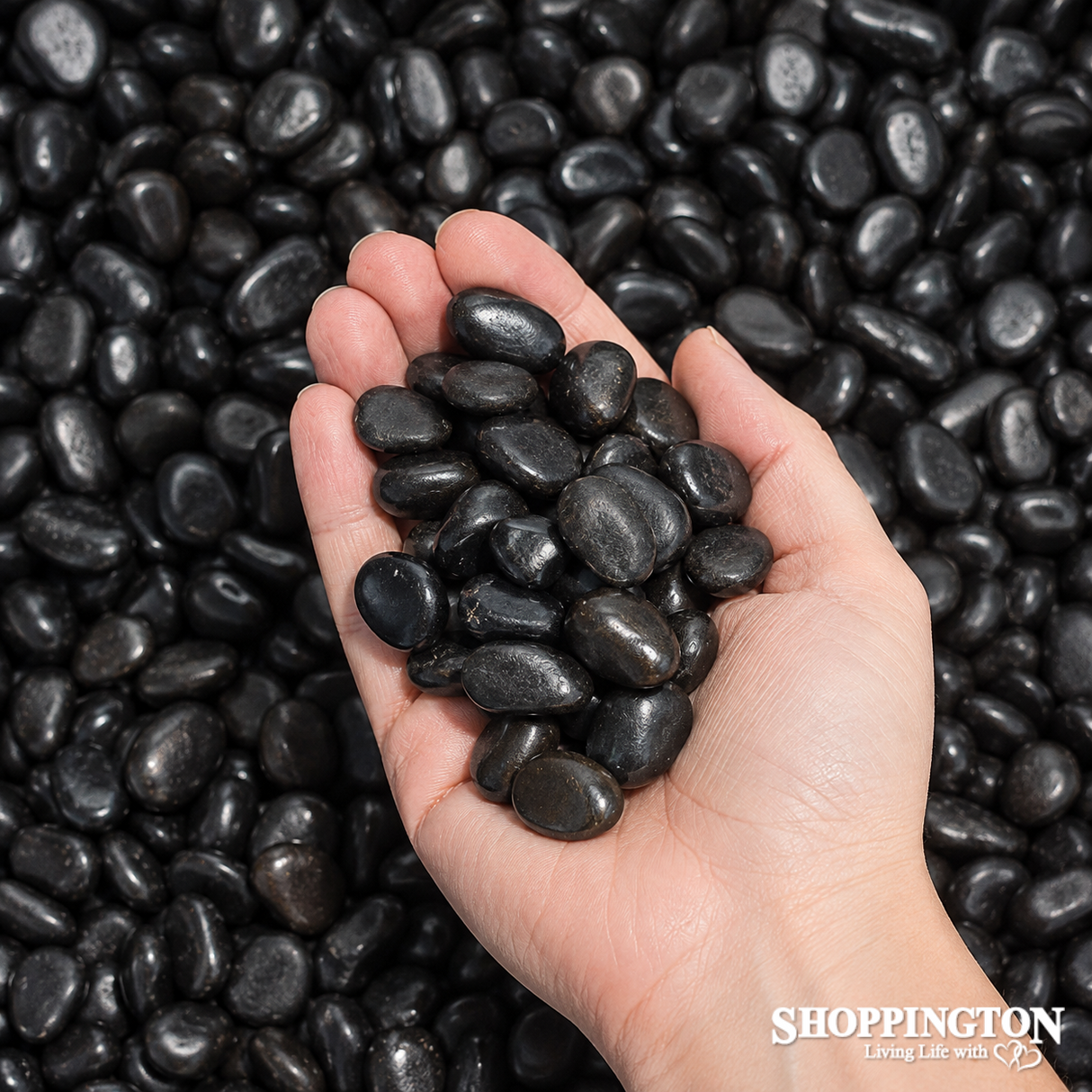 Landscape - Bag of Decorative Stones 500g - Small Black