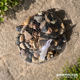 Landscape - Bag of Decorative Stones 500g - Small Mixed