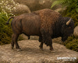 Collect A - American Bison