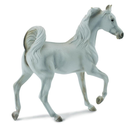 Collect A - Arabian Mare Grey