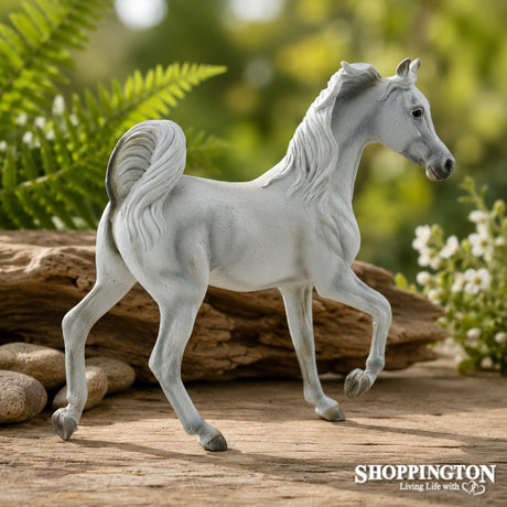 Collect A - Arabian Mare Grey