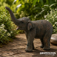 Collect A - Asian Elephant Calf