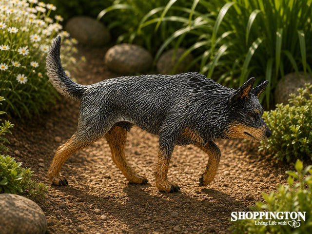 Collect A - Australian Cattle Dog