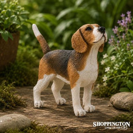 Collect A - Beagle