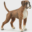 Collect A - Boxer