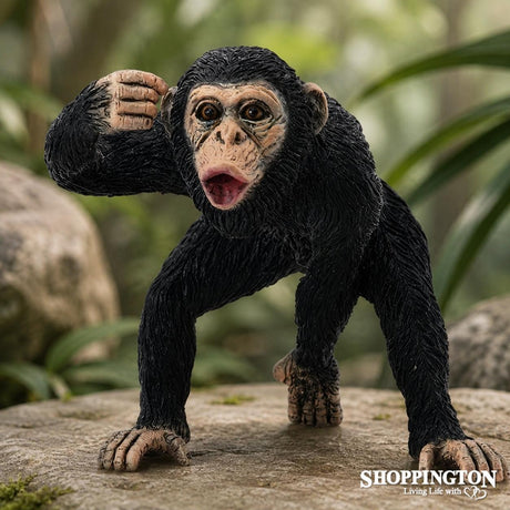Collect A - Chimpanzee Male