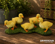 Collect A - Ducklings