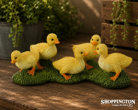 Collect A - Ducklings