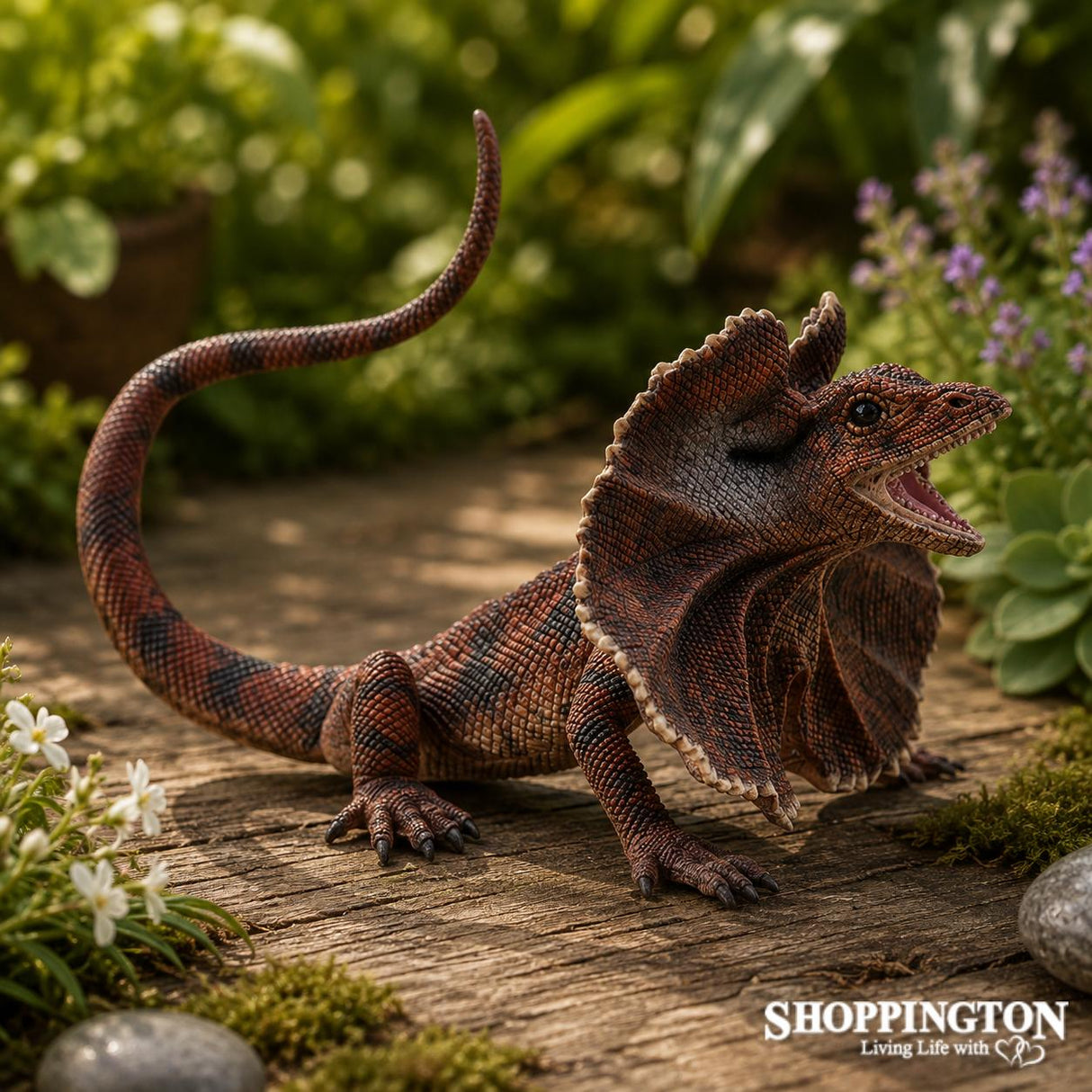 Collect A - Frill Necked Lizard