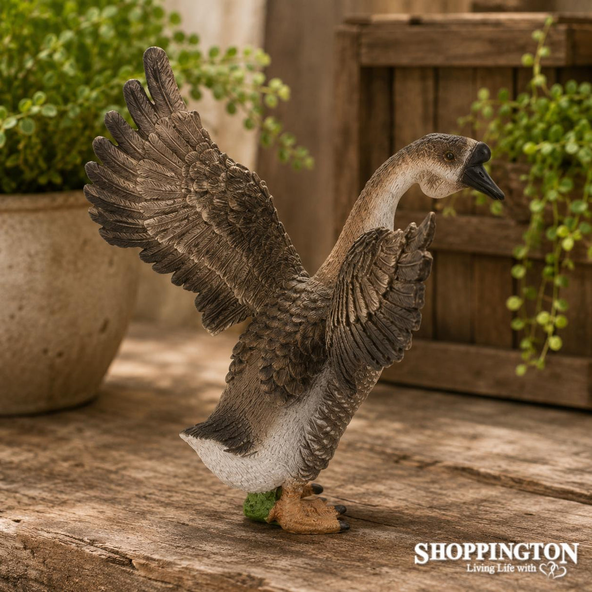 Collect A - Gander