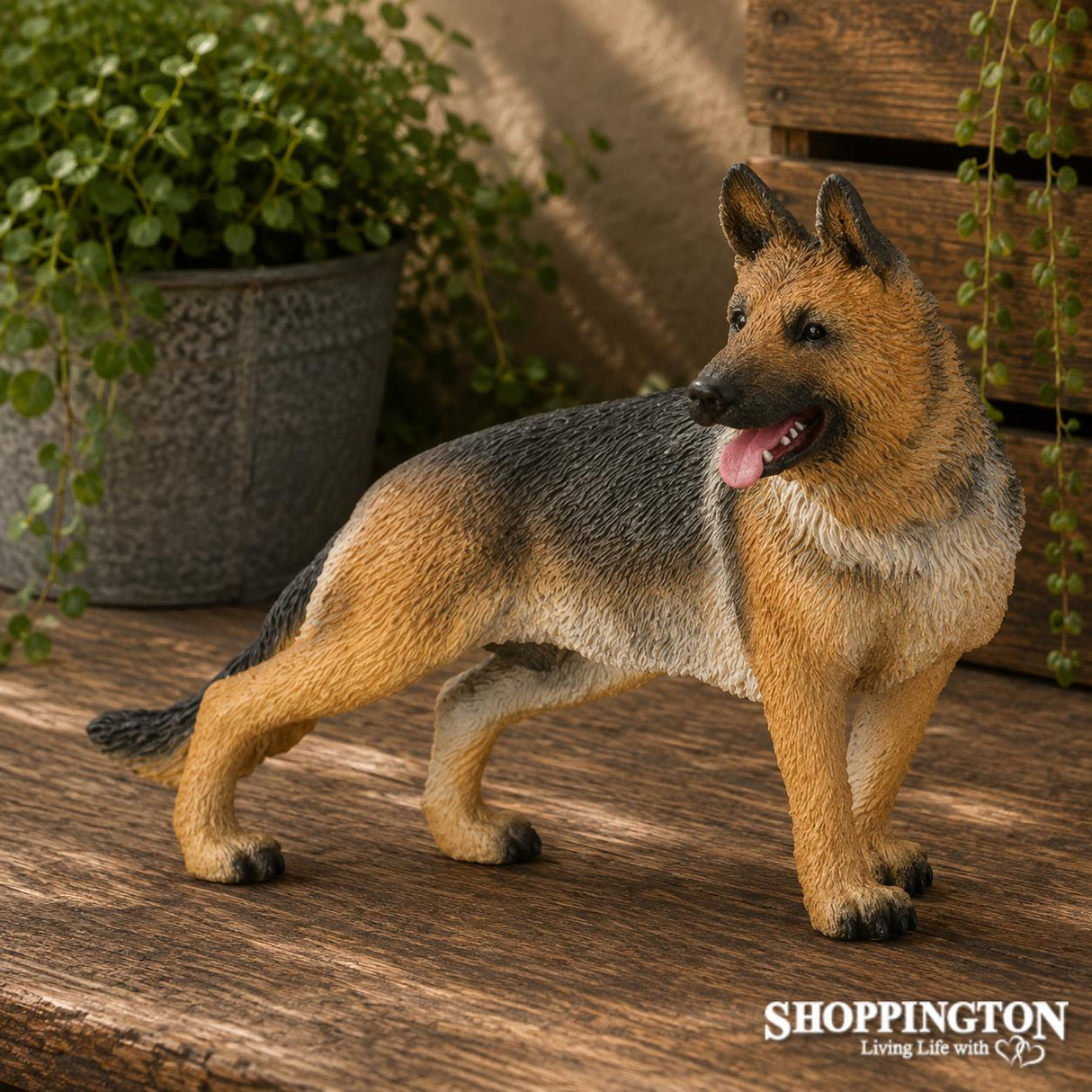 Collect A - German Shepherd