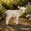 Collect A - Goat Kid Standing