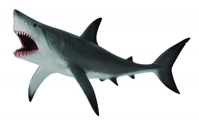 Collect A - Great White Shark