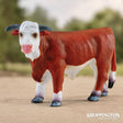 Collect A - Hereford Bull
