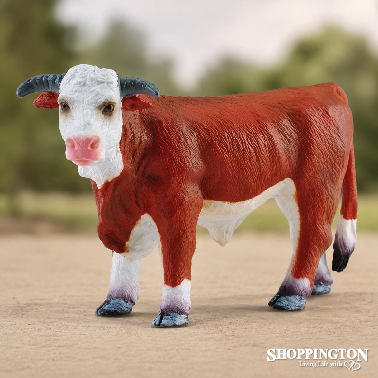 Collect A - Hereford Bull