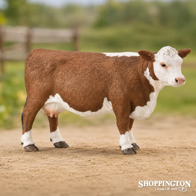 Collect A - Hereford Cow