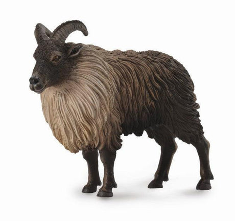 Collect A - Himalayan Tahr