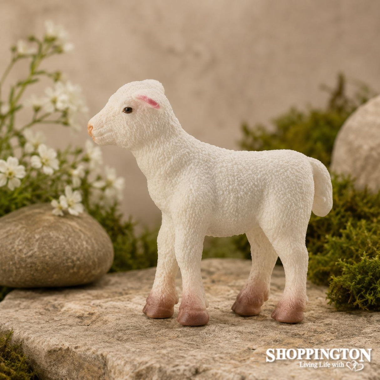 Collect A - Lamb Standing