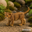 Collect A - Lion Cub Walking