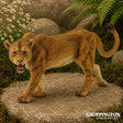 Collect A - Lioness
