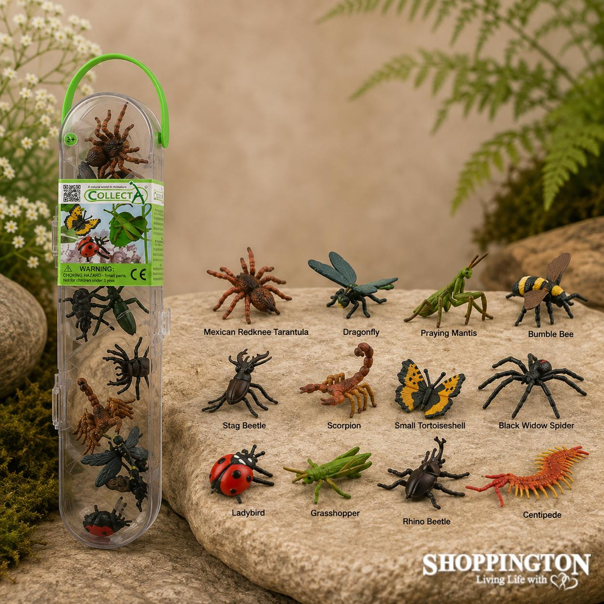 Collect A Mini Box - Spiders & Insects