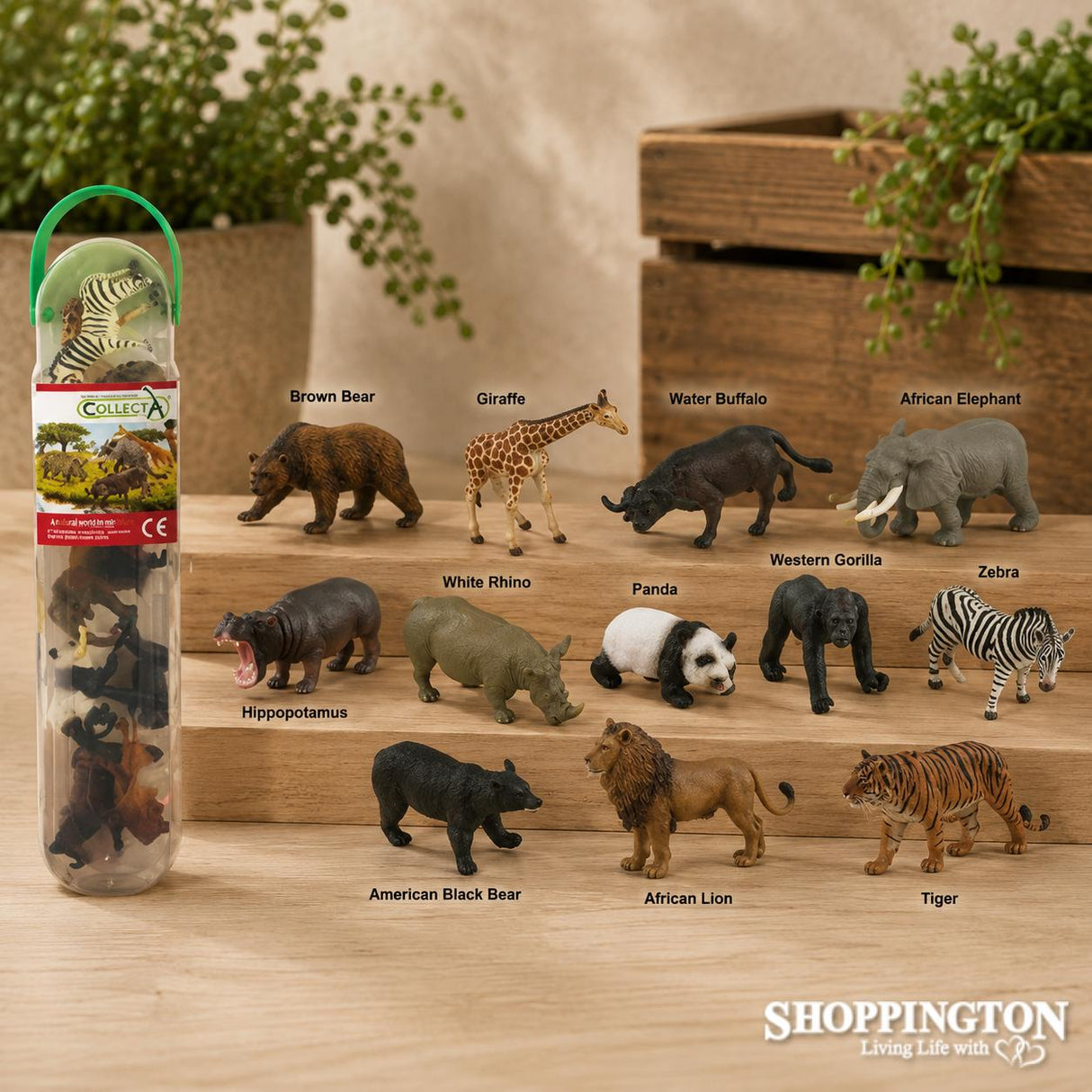 Collect A Mini Box - Wild Animals