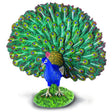 Collect A - Peacock