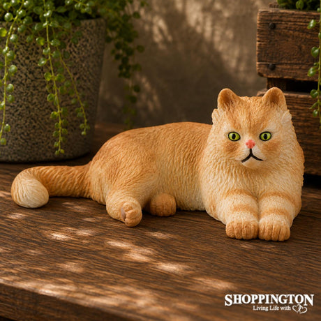 Collect A - Persian Cat Lying