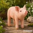 Collect A - Piglet (smelling)