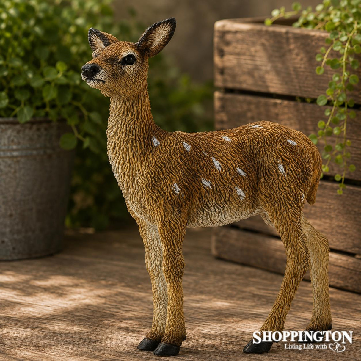 Collect A - Red Deer Calf