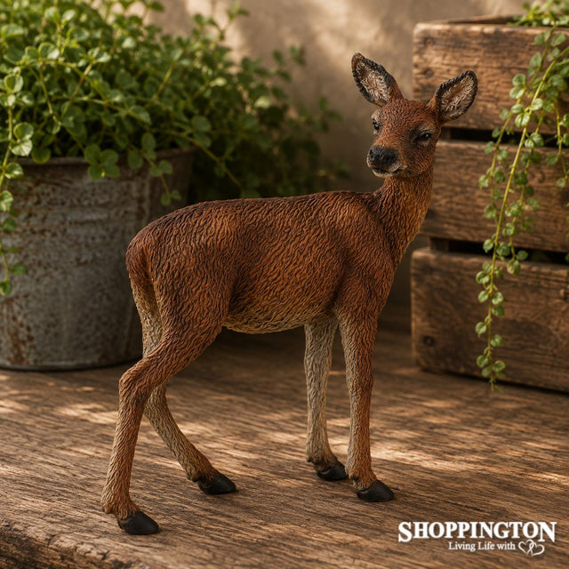 Collect A - Red Deer Hind