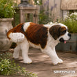 Collect A - St Bernard