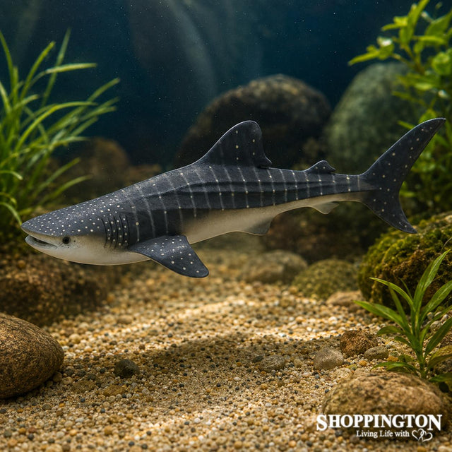 Collect A - Whale Shark