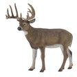 Collect A - White Tailed Deer
