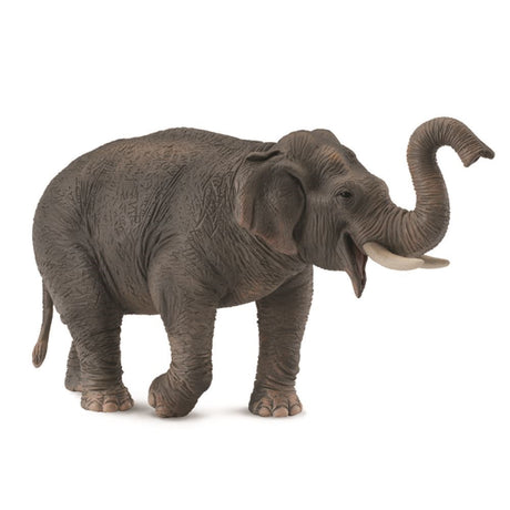 CollectA - Asian Elephant