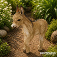 CollectA - Donkey Foal Walking