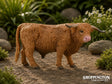 CollectA - Highland Bull