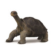CollectA - Pinta Island Tortoise George