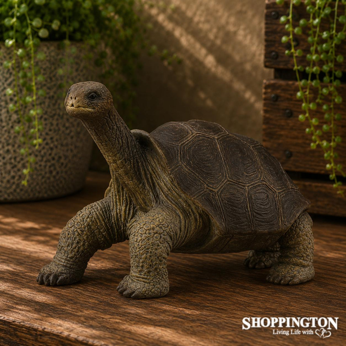 CollectA - Pinta Island Tortoise George