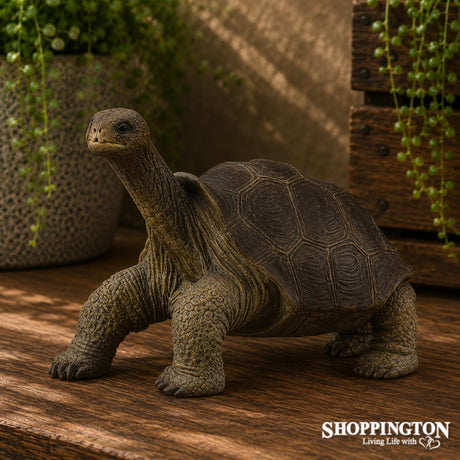 CollectA - Pinta Island Tortoise George
