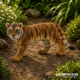 CollectA - Tiger Cub Walking